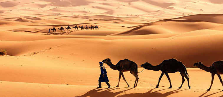 Quick — can you place the massive Sahara Desert on its rightful continent?